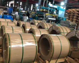 Professional Logistics & Packaging